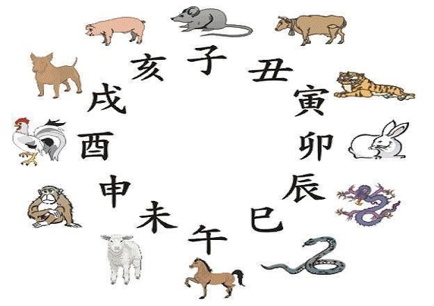 冬天寒冷痛入骨，老马识途有经验打一最佳生肖,警惕虚假宣传-全面释义、解释与落实、实证解答解释落实