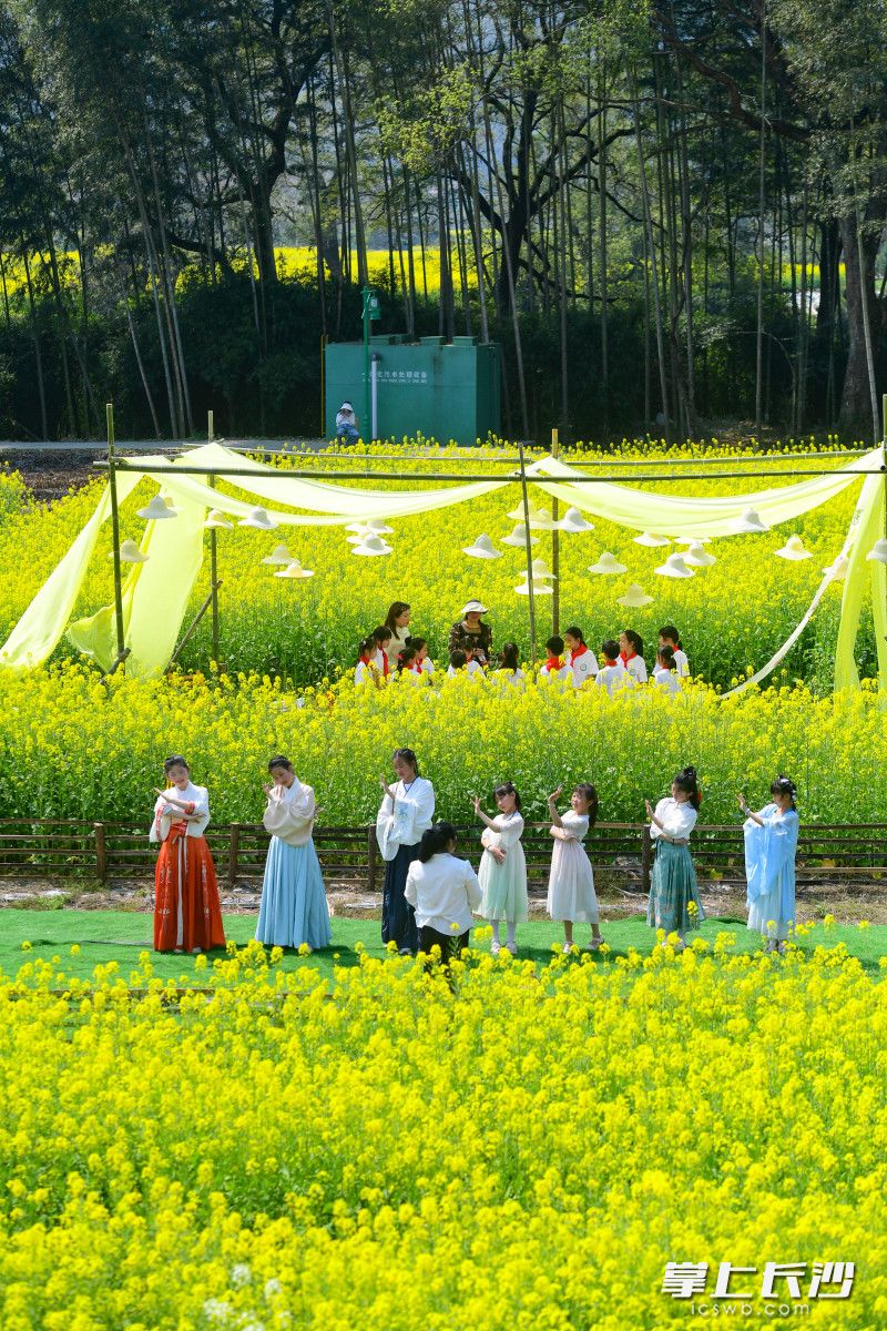 遍地有花皆美育 五湖四海唱关曲打一最佳精准生肖的警惕虚假宣传-全面释义、解释与落实、定量解答解释落实